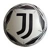 Printed ball licence F.C.JUVENTUS 230 mm 06/174K