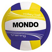 Volleyball Training Indoor 13/135K