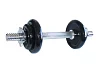 Single-handed loading dumbbell 5,5 kg