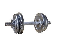 Loading dumbbell one-handed, chrome-plated 10kg