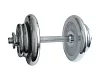 Loading dumbbell one-handed, chrome 17 kg