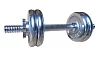 One-hand loading dumbbell, chrome 6 kg