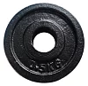 Cast iron disc 0,5kg