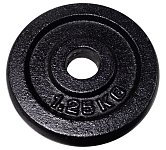 cast iron 1,25kg - 25mm