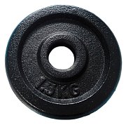 cast iron 1,5kg - 30mm