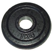 cast iron 1kg - 25mm