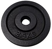 Cast iron disc 2,5 kg - 25mm