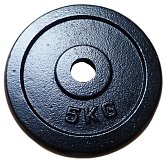 Cast iron disc 5kg