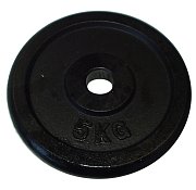 cast iron 5kg - 30mm