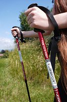 Trekking poles - 1 pair with accessories red