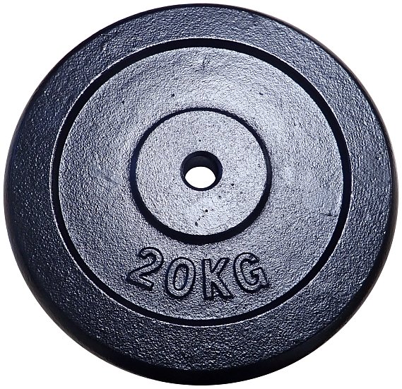 Cast iron disc 20kg - 25mm