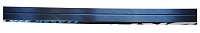 Cross-country skis Skol Brados blue 170 - 205 cm